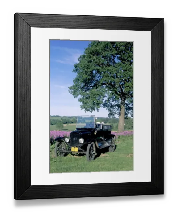 Framed Print : NA, USA, Oregon. Ford Model T near field of Dames Rocket