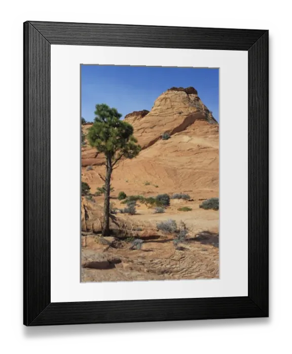 Framed Print : USA, North America, Utah