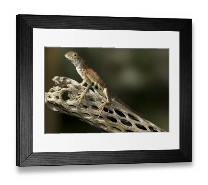 Framed Print : USA, North America, Pennsylvania