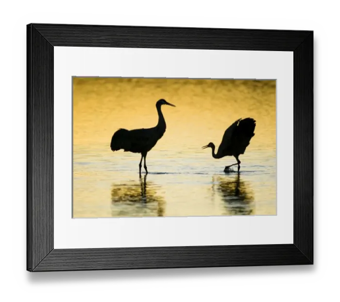 Framed Print : USA, North America, New Mexico Framed Print : USA, North America, New Mexico