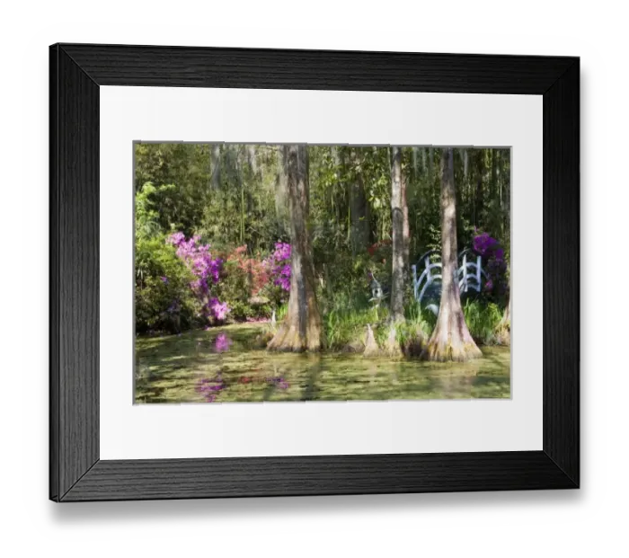 Framed Print : USA, North America, South Carolina Framed Print : USA, North America, South Carolina