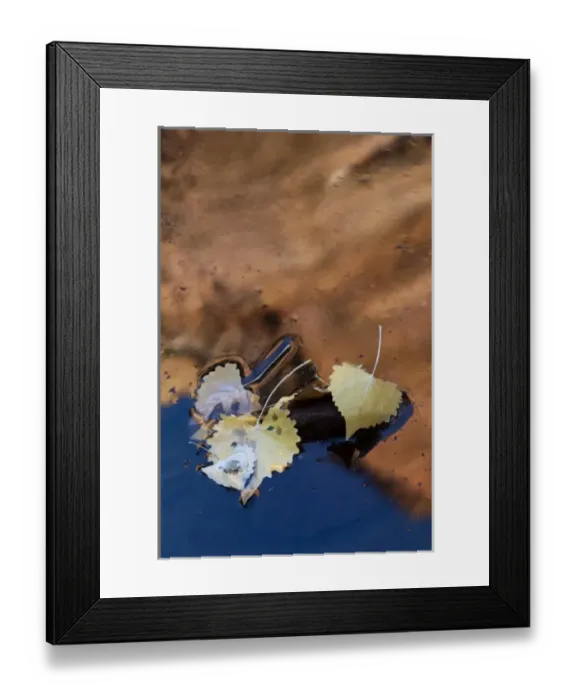 Framed Print : USA, Utah, Zion National Park. Cottonwood leaves and red rock reflections on Pine Creek Framed Print : USA, Utah, Zion National Park. Cottonwood leaves and red rock reflections on Pine Creek