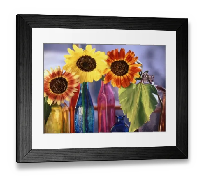 Framed Print : USA, North America, Washington Framed Print : USA, North America, Washington