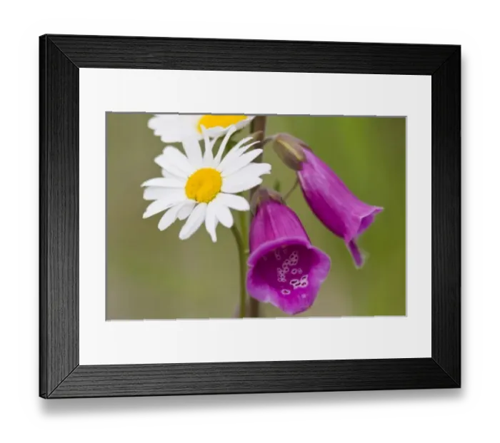 Framed Print : USA, North America, Washington Framed Print : USA, North America, Washington