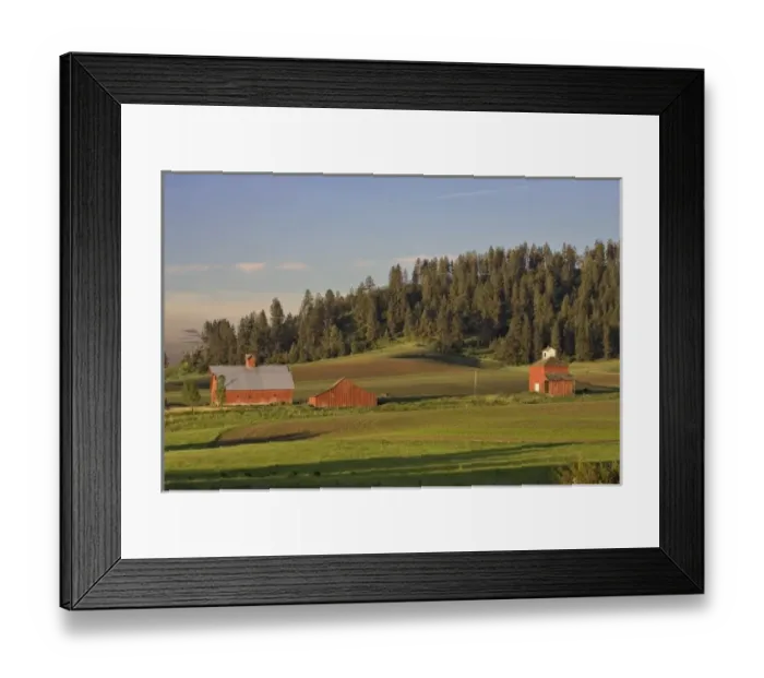 Framed Print : North America, USA, Washington, Palouse area. Barns near Kamiac Butte Framed Print : North America, USA, Washington, Palouse area. Barns near Kamiac Butte