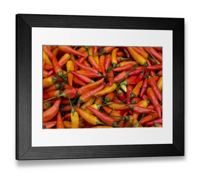 Framed Print : USA; Washington; Seattle; Pike Place Market, Local Peppers Framed Print : USA; Washington; Seattle; Pike Place Market, Local Peppers