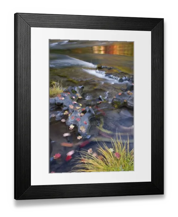 Framed Print : USA, North America, Oregon Framed Print : USA, North America, Oregon