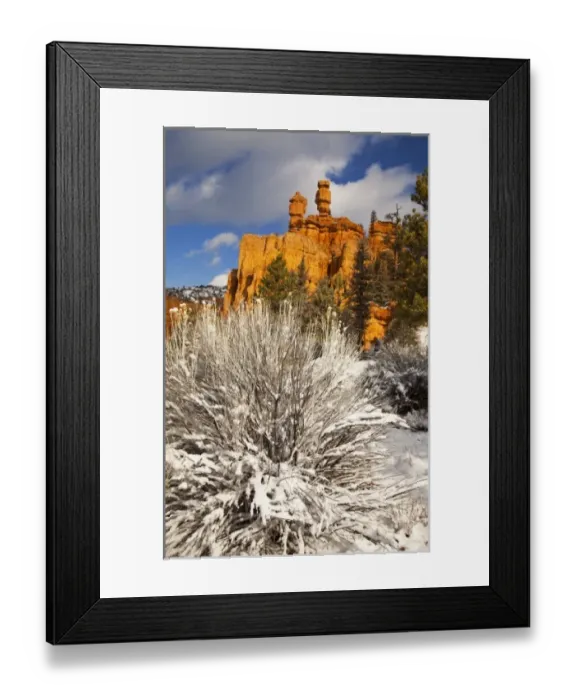 Framed Print : Fresh spring snowfall coats the red rocks and hoodoos at Red Canyon in the Dixie Framed Print : Fresh spring snowfall coats the red rocks and hoodoos at Red Canyon in the Dixie