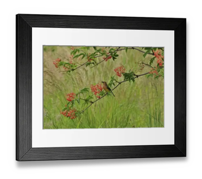 Framed Print : USA, North America, Oregon Framed Print : USA, North America, Oregon
