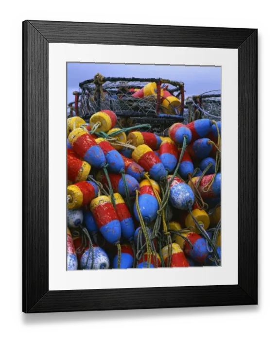 Framed Print : USA, Oregon, Newport. Crab rings and floats on dock Framed Print : USA, Oregon, Newport. Crab rings and floats on dock