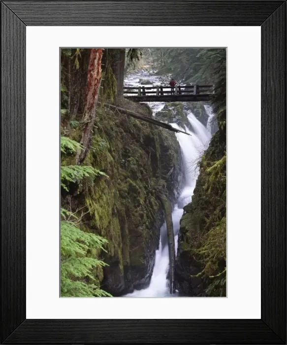 Framed Print : North America, USA, Washington, Olympic National Park. Sol Duc Falls and bridge