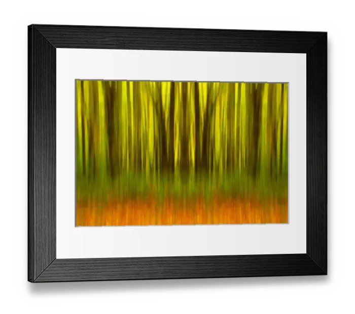 Framed Print : USA, North America, North Carolina Framed Print : USA, North America, North Carolina
