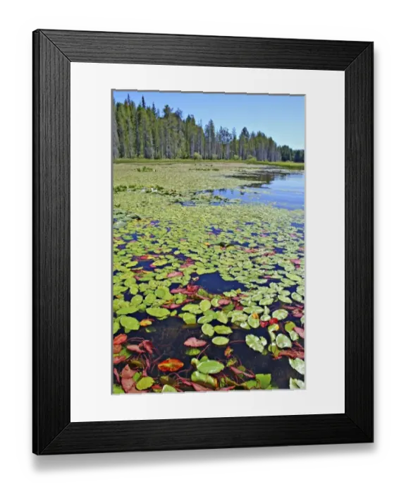 Framed Print : USA, North America, Oregon Framed Print : USA, North America, Oregon