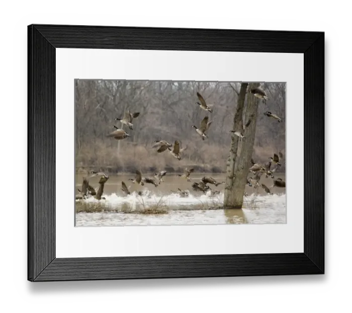 Framed Print : USA, North America, Ohio Framed Print : USA, North America, Ohio