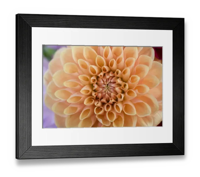 Framed Print : USA, North America, Oregon Framed Print : USA, North America, Oregon
