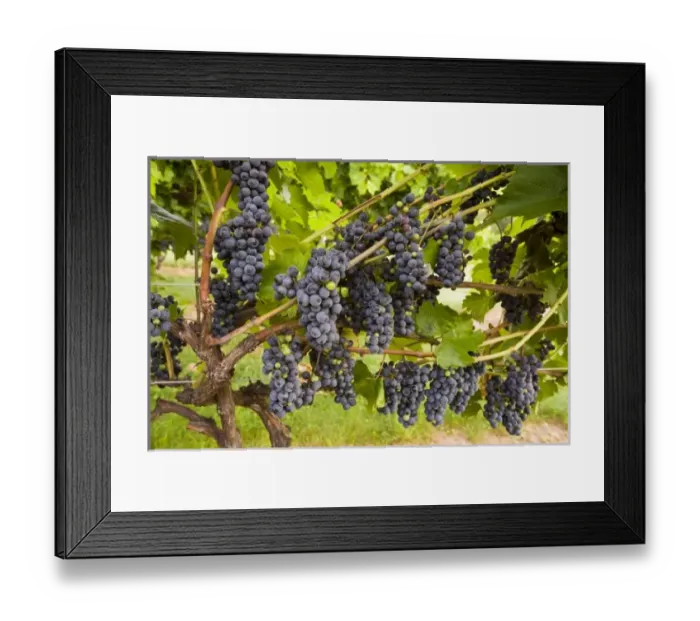 Framed Print : USA, North America, New Hampshire Framed Print : USA, North America, New Hampshire