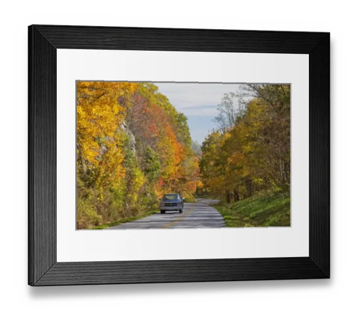 Framed Print : USA, North America, North Carolina