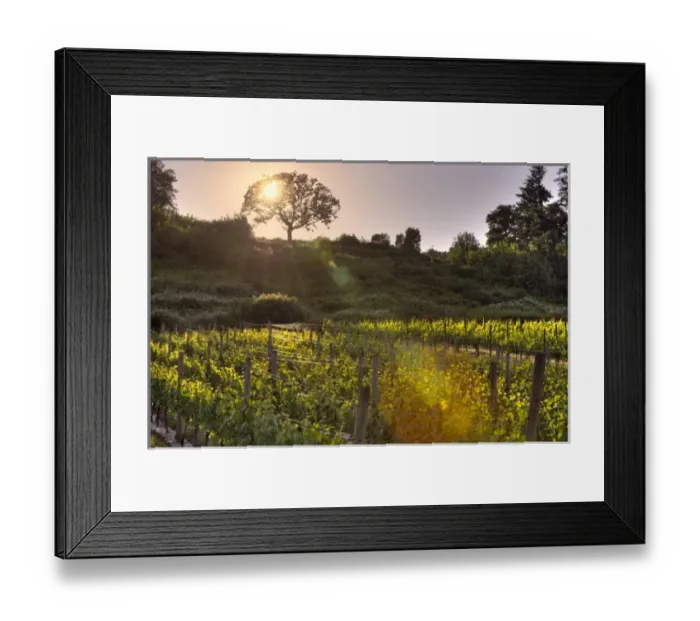 Framed Print : USA, North America, Oregon Framed Print : USA, North America, Oregon