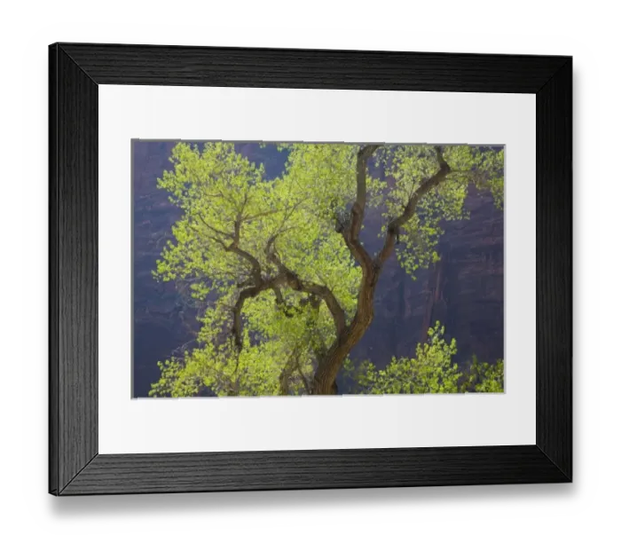 Framed Print : USA, North America, Utah Framed Print : USA, North America, Utah