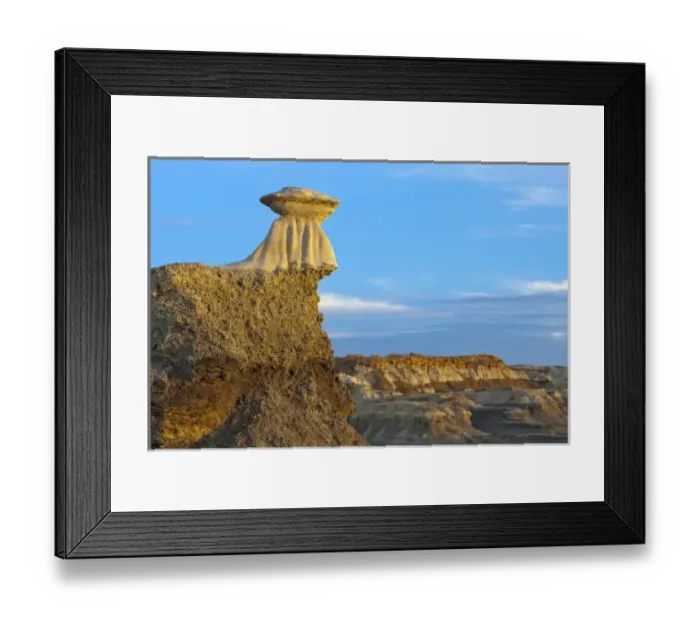Framed Print : Badlands formations in the Bisti Wilderness in San Juan County, New Mexico, USA Framed Print : Badlands formations in the Bisti Wilderness in San Juan County, New Mexico, USA