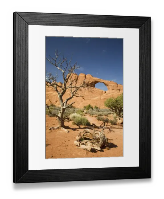 Framed Print : Utah, Arches NP, Skyline Arch