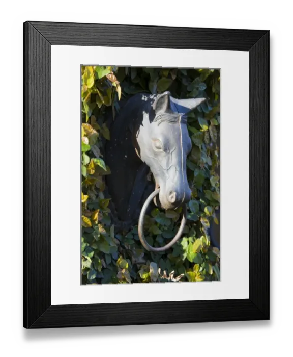 Framed Print : USA, South Carolina, Charleston. Ornament of a horse head on wall of home