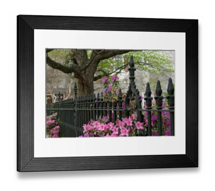 Framed Print : USA, North America, South Carolina