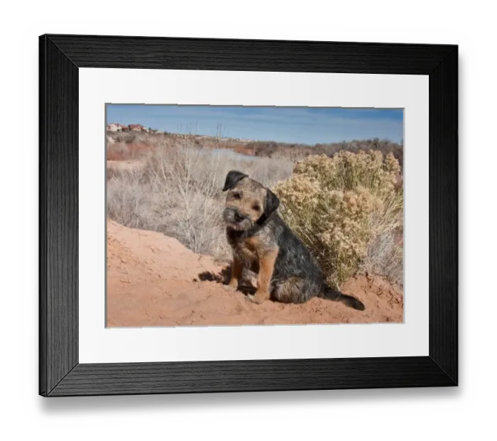 Framed Print : USA, North America, New Mexico