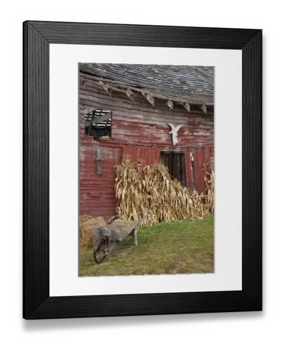 Framed Print : USA, Oregon, Hood River. Dilapidated barn on Rasmussen Farms