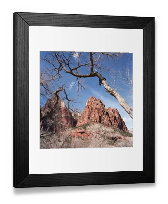 Framed Print : USA, Utah, Zion National Park