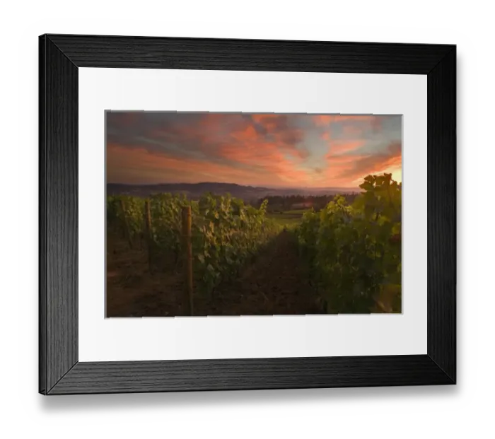 Framed Print : Colorful clouds of sunset over Adelsheim Vineyards and the Willamette Valley near Newberg, Oregon