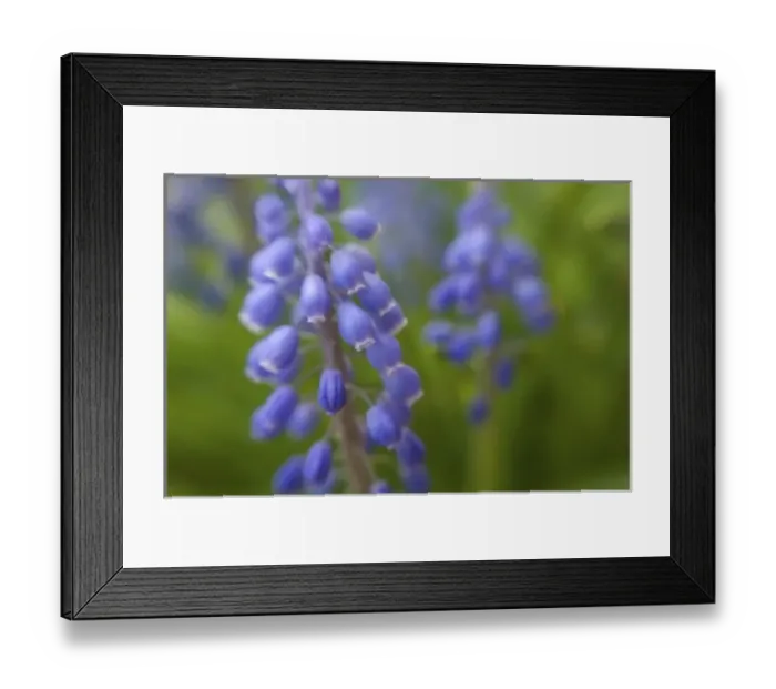 Framed Print : USA, Virginia, Arlington Framed Print : USA, Virginia, Arlington