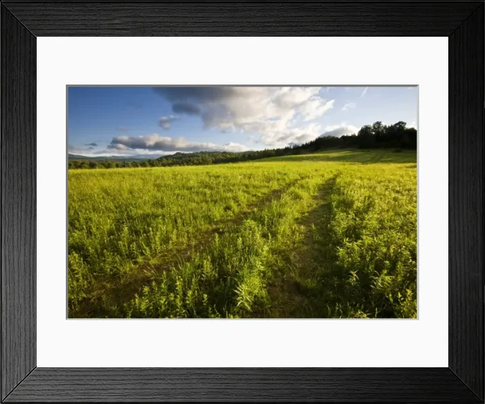 Framed Print : USA, North America, Vermont Framed Print : USA, North America, Vermont