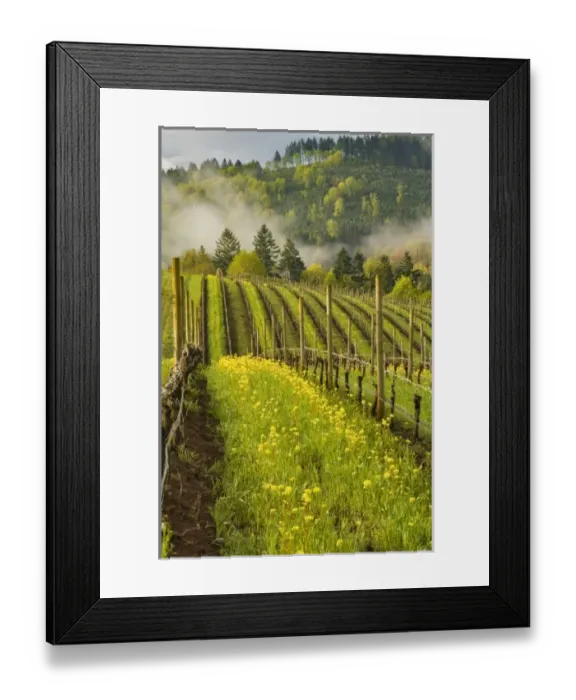 Framed Print : USA, North America, Oregon Framed Print : USA, North America, Oregon