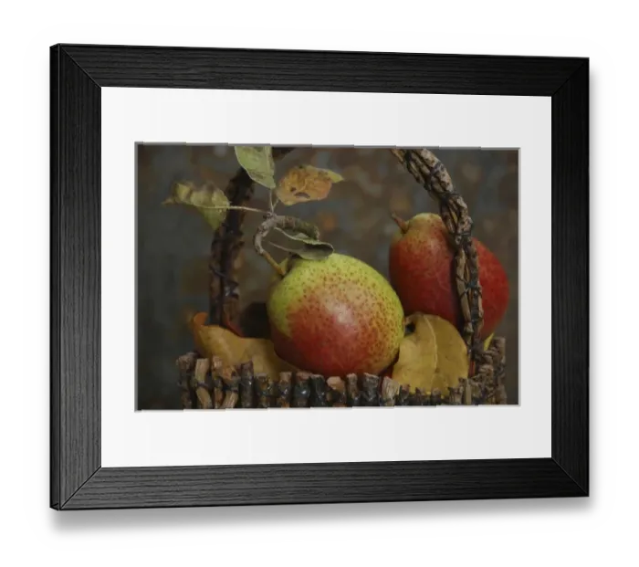 Framed Print : USA, Oregon, Hood River. Fresh-picked Forelle pears displayed in basket