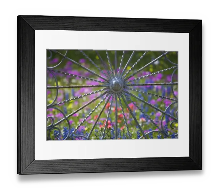 Framed Print : Gate and Fence made out of metal in the design of wheels with backdrop of Texas Wildflowers Framed Print : Gate and Fence made out of metal in the design of wheels with backdrop of Texas Wildflowers