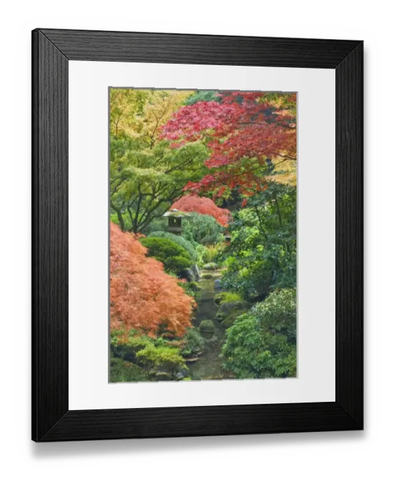 Framed Print : USA, North America, Oregon Framed Print : USA, North America, Oregon