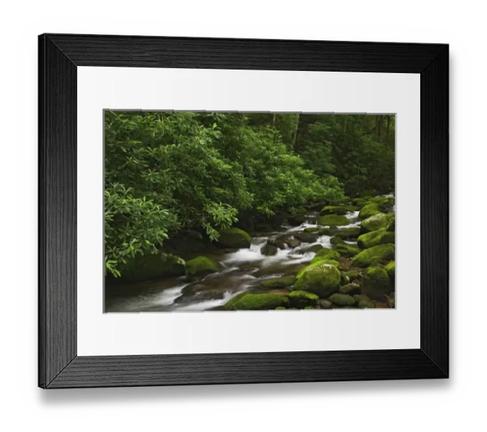 Framed Print : Roaring Fork Creek, Great Smoky Mountains National Park, Tennessee Framed Print : Roaring Fork Creek, Great Smoky Mountains National Park, Tennessee