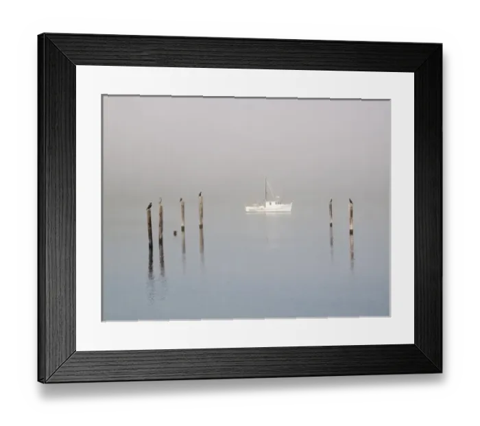 Framed Print : USA, Washington, Seabeck. Birds sit atop pilings in morning fog near anchored boat Framed Print : USA, Washington, Seabeck. Birds sit atop pilings in morning fog near anchored boat