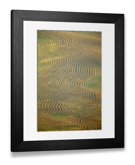 Framed Print : USA, North America, Washington Framed Print : USA, North America, Washington