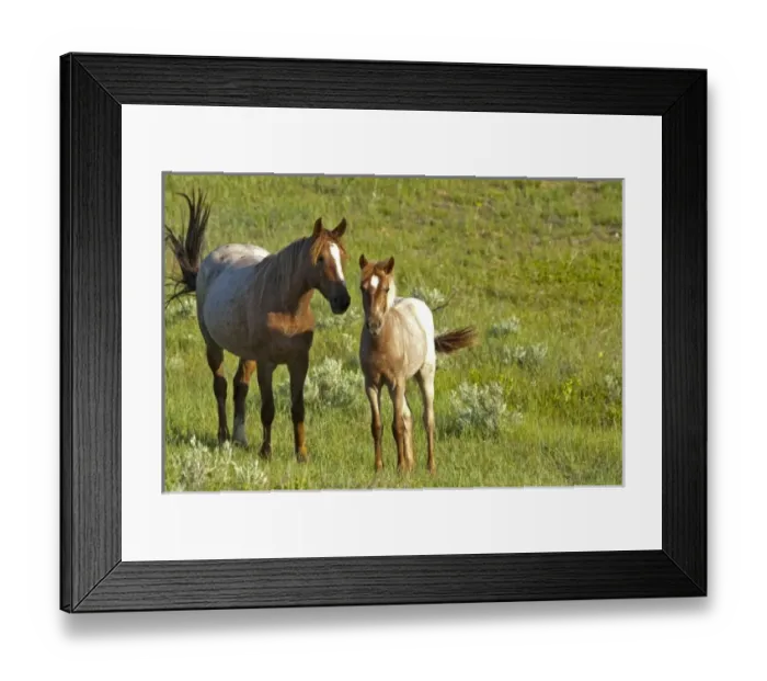 Framed Print : USA, North America, North Dakota