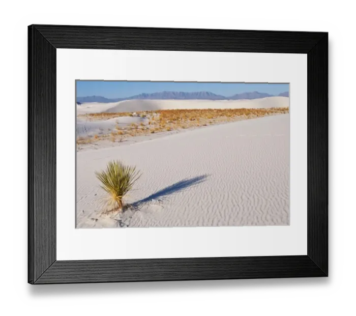 Framed Print : USA, North America, New Mexico Framed Print : USA, North America, New Mexico