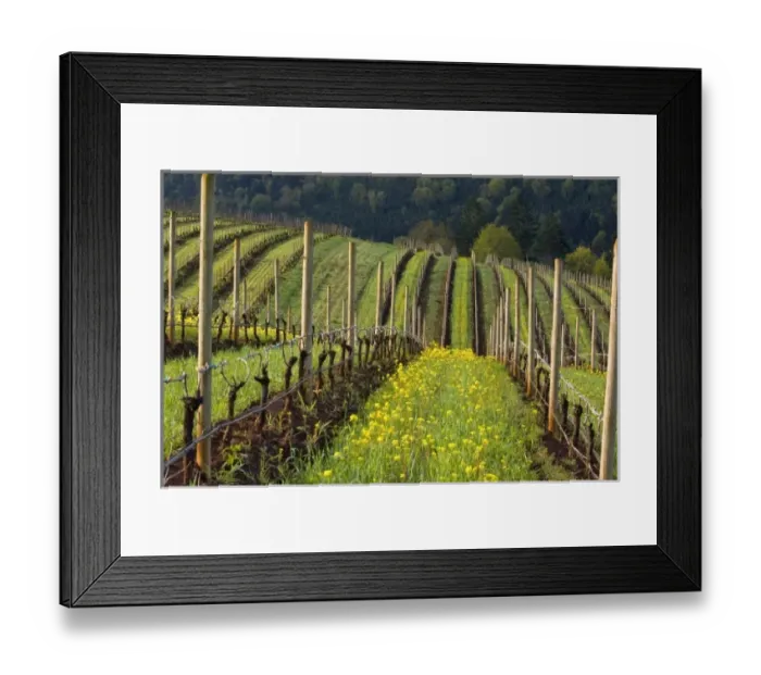 Framed Print : USA, North America, Oregon
