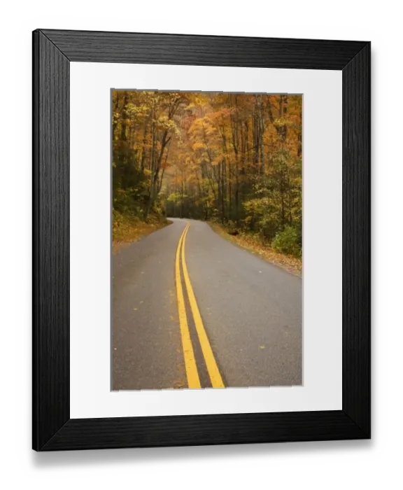 Framed Print : USA, North America, North Carolina, Great Smoky mountain NP. Road through the Smokies in late fall