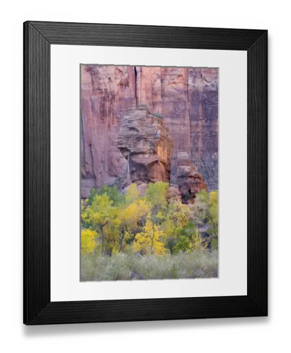 Framed Print : USA, North America, Utah