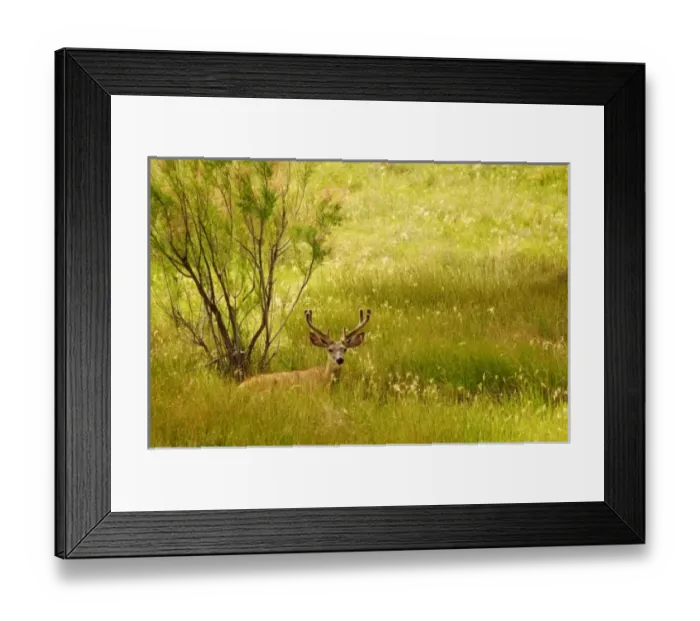 Framed Print : USA, North America, New Mexico Framed Print : USA, North America, New Mexico