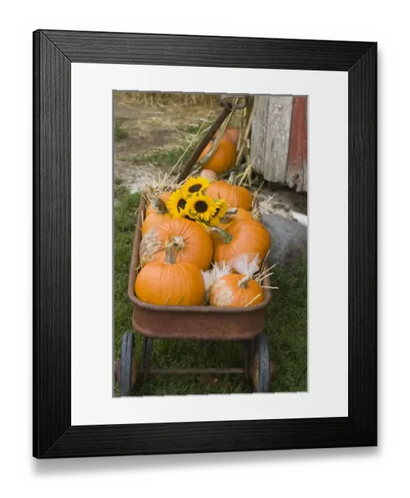 Framed Print : USA, North America, Ohio Framed Print : USA, North America, Ohio