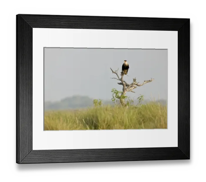 Framed Print : USA, North America, Texas Framed Print : USA, North America, Texas