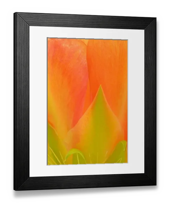 Framed Print : USA, North America, Texas