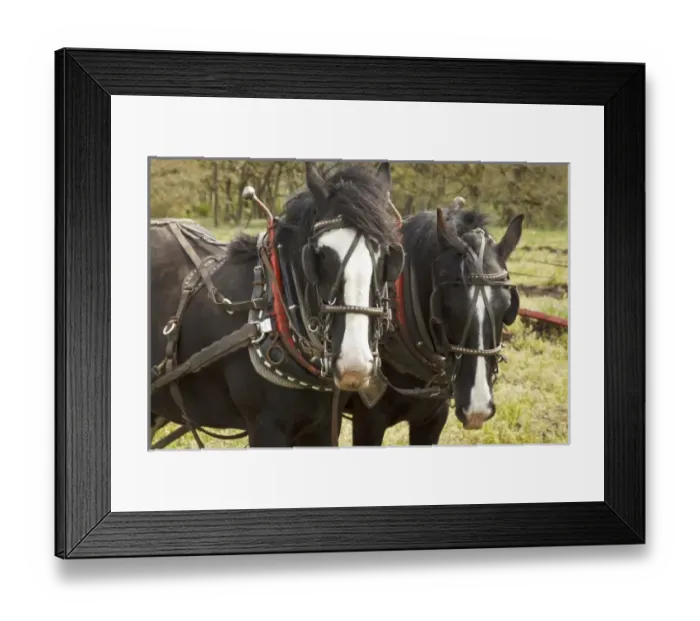 Framed Print : USA, North America, Oregon Framed Print : USA, North America, Oregon